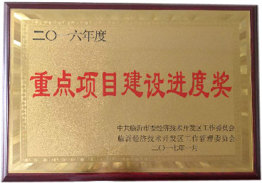 重點項目建設(shè)進度獎